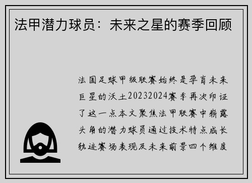 法甲潜力球员：未来之星的赛季回顾